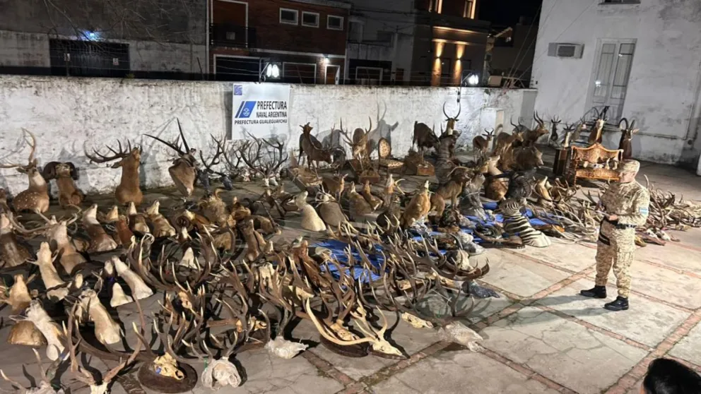 Millonario decomiso en un allanamiento a un coto de caza en Gualeguaychú