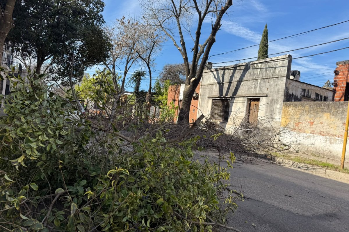 La poda invernal continúa en Doello Jurado y Chacabuco