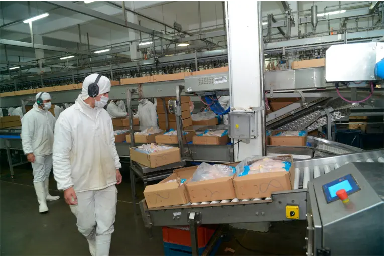 Japón reabrió el mercado para la carne aviar y los ovoproductos argentinos